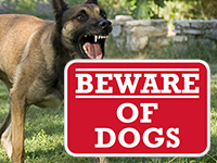 Designer Beware of Dog Signs
