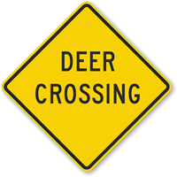 Deer
