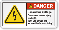 Hazardous Voltage Cause Severe Injury ANSI Danger Label