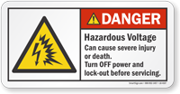 Hazardous Voltage Cause Severe Injury ANSI Danger Label