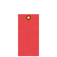 Red Tyvek Shipping Blank Tag With Metal Eyelet