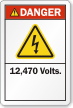 12,470 Volts ANSI Danger Label