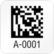 Square 2D Custom Template   Barcode