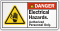 Electrical Hazards Authorized Personnel Only ANSI Danger Label